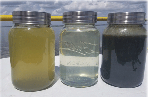Opto22 - Case Study: Clearing Harmful Algal Blooms